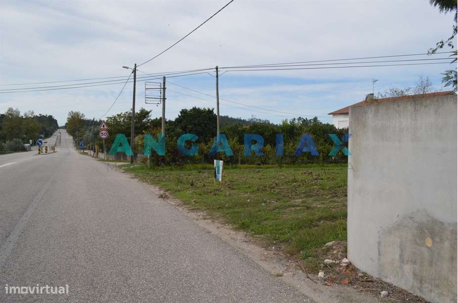 ANG351 - Terreno Rústico para Venda em Soure - Grande imagem: 5/16