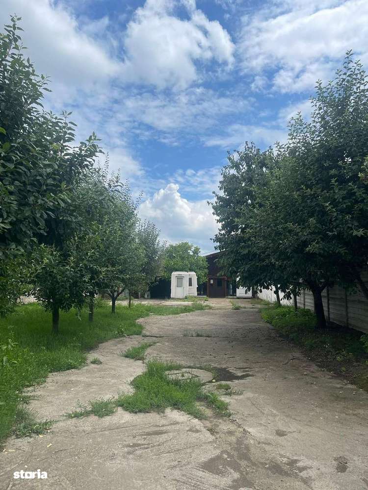 Teren industrial 891 mp, Sanmartin-Rontau-4