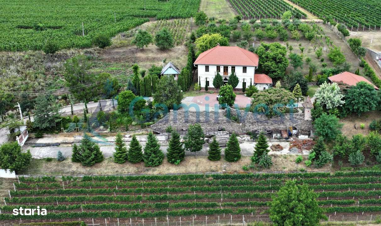 Gaminvest Conac nobiliar restaurat în Bihor, România V4105B - Imagine principală: 2/20