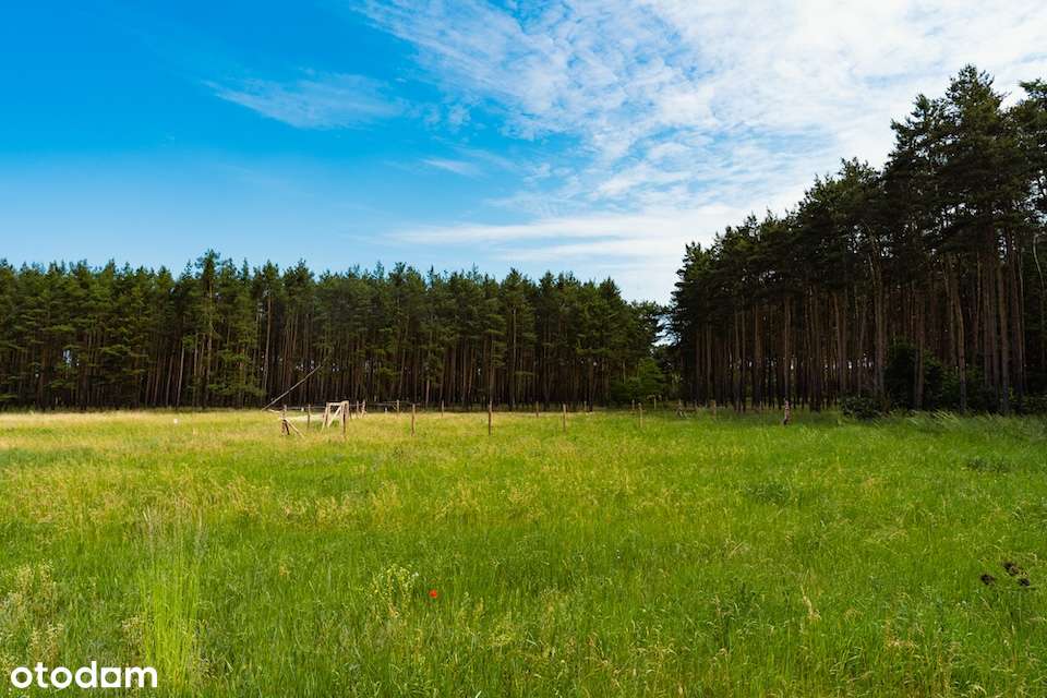 BLACK WEEK | Bez prowizji | Budowlana | MPZP | 2 ostatnie działki - Pełny obrazek: 5/12