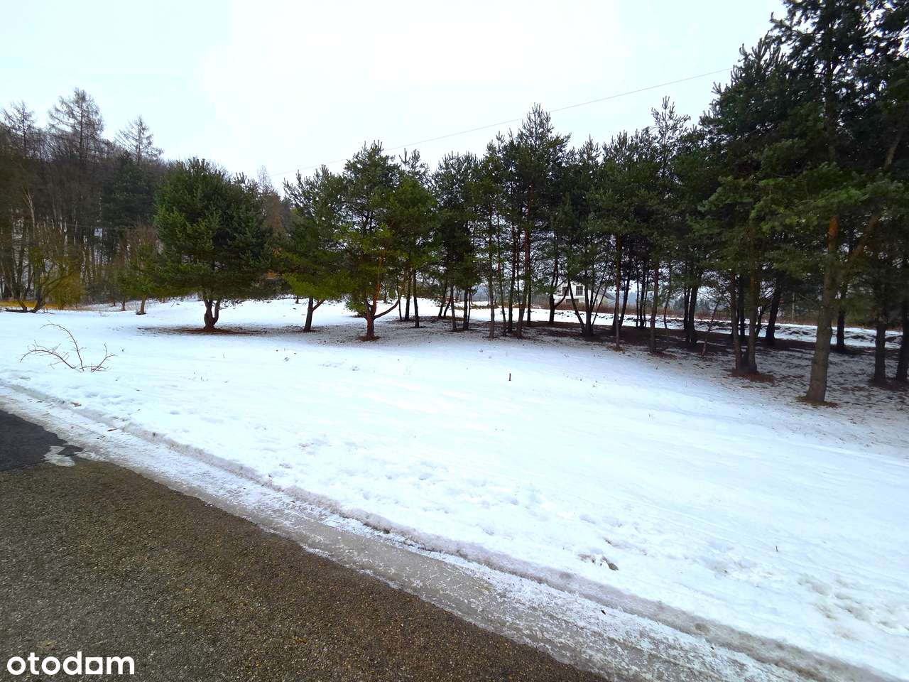 Działka budowlana przy lesie 20 arów - Mników-1