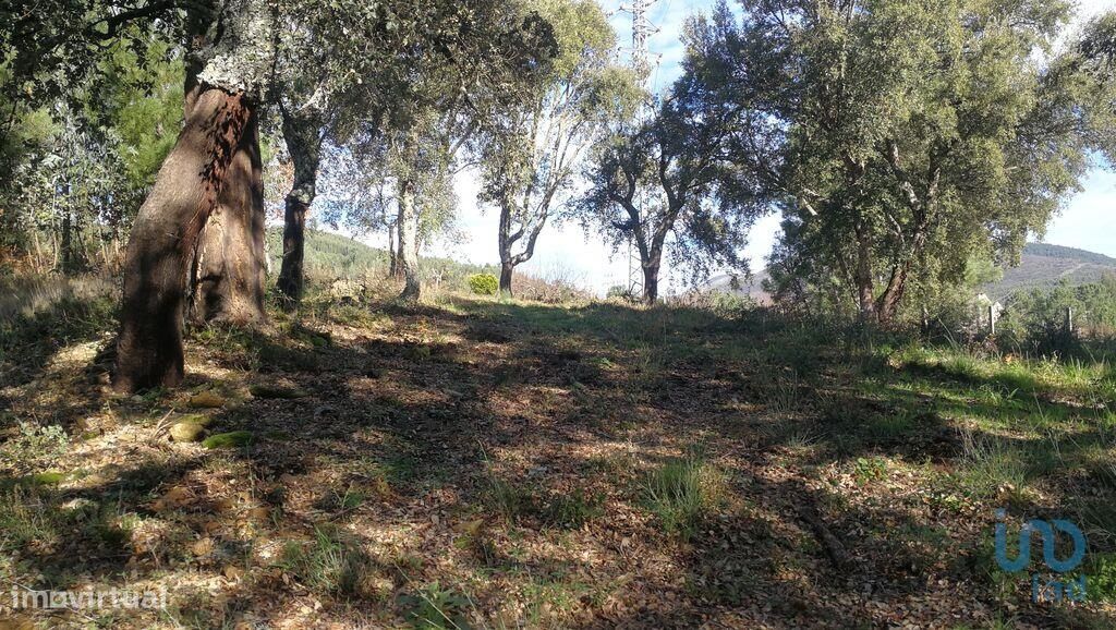 Terreno em Castanheira de Pêra e Coentral de 2167,00 m2 - Grande imagem: 1/28