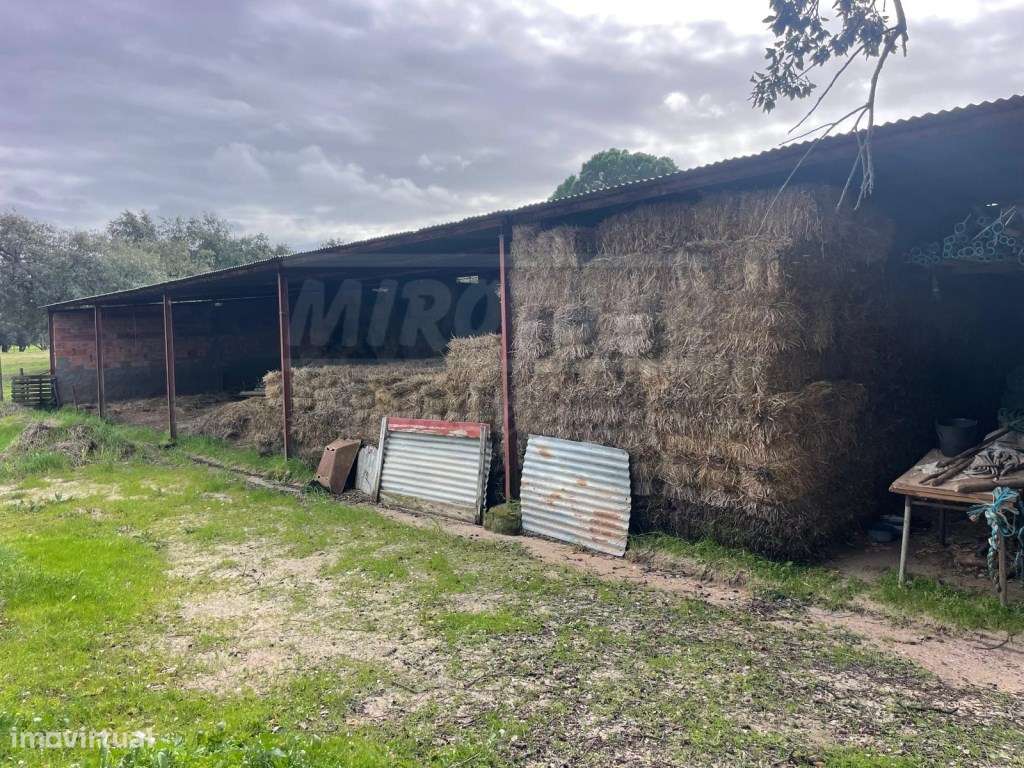 Propriedade Rústica com 11 Hectares junto a Canhestros-15
