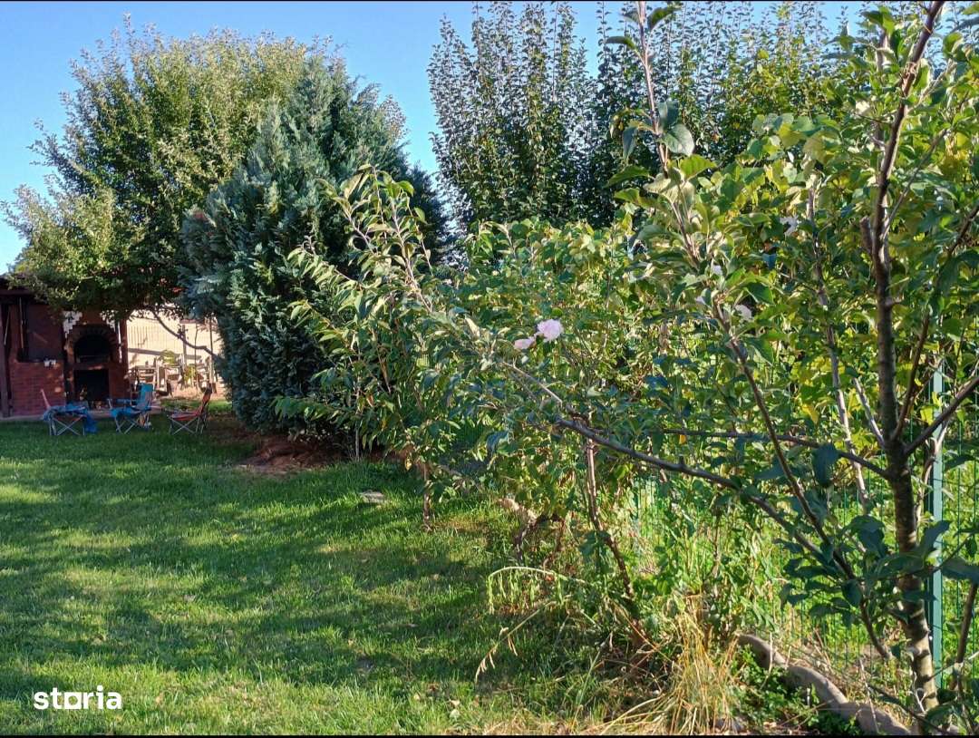 Casa, mobilată, pivniță, garaj, 220 mp,teren 600 mp,Sântana,Unirii-3