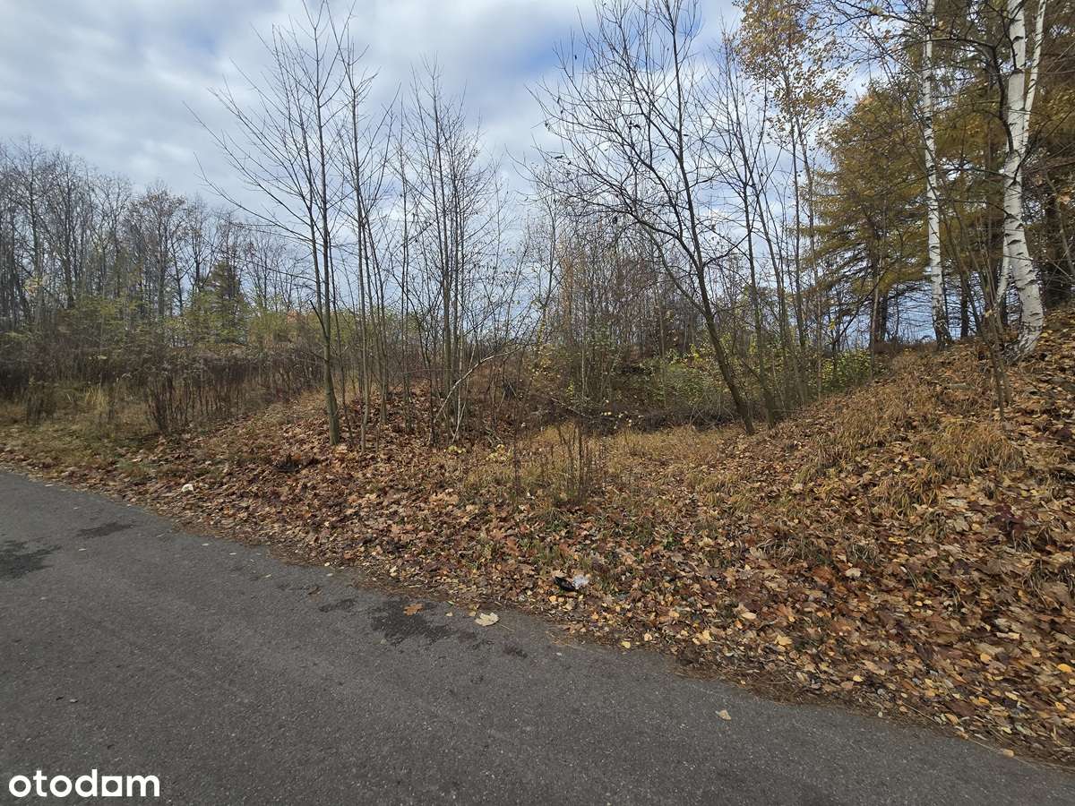 Brzękowice gm. Psary widokowa działka budowlana-5