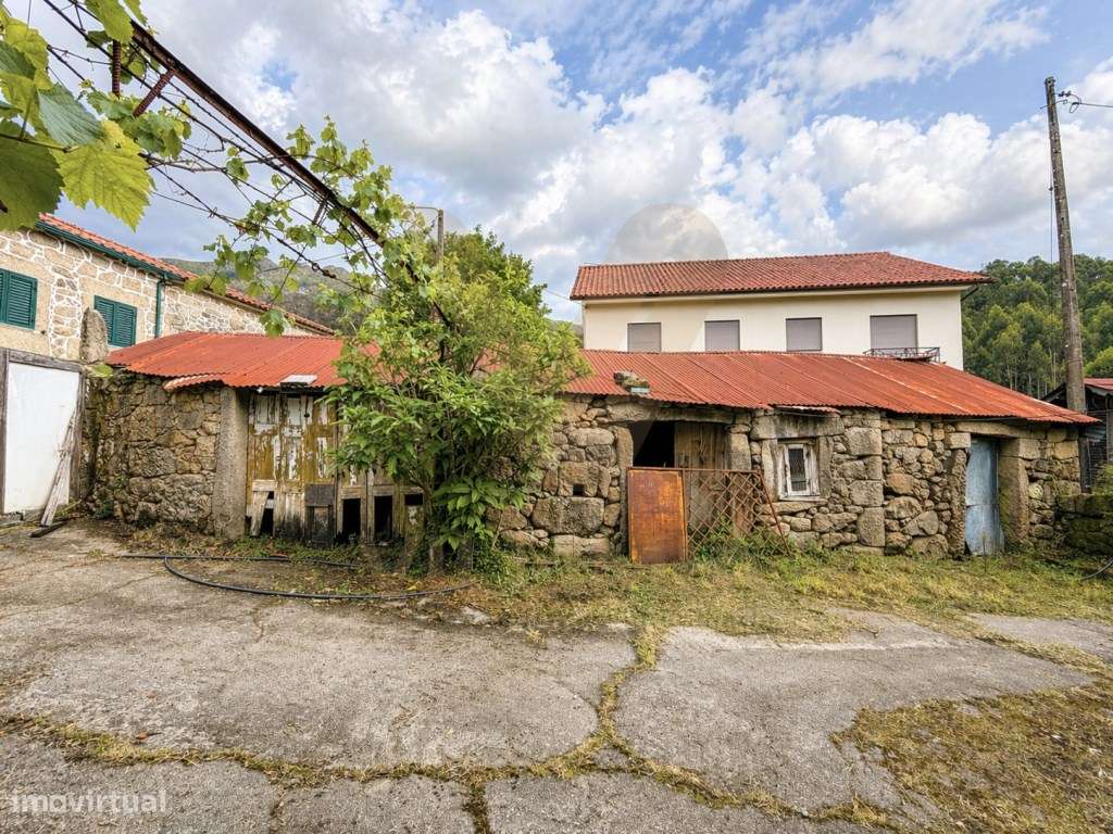 Casa Antiga T3 para Restauro | Facha - Ponte de Lima - Grande imagem: 5/30