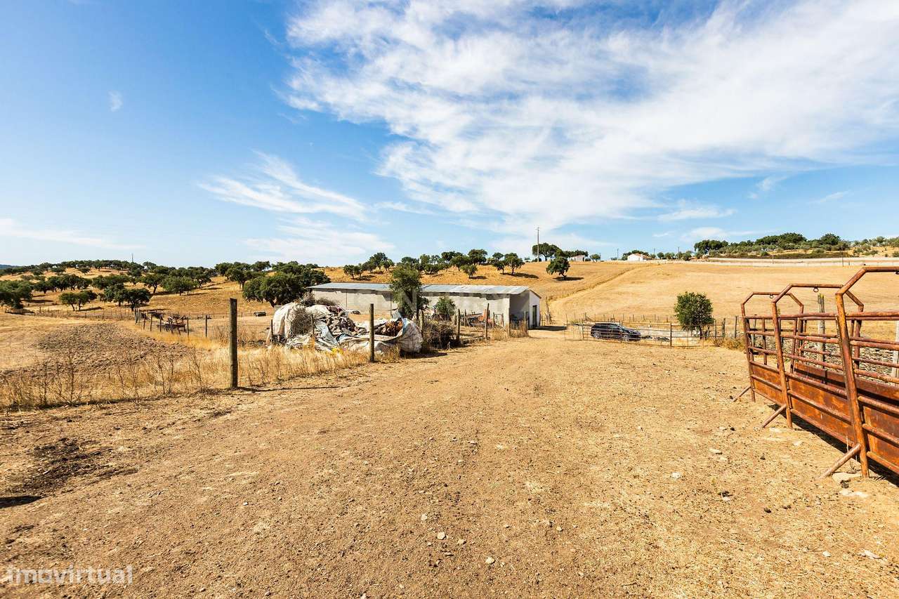 Monte Alentejano com 45 Hectares e Infraestruturas Agrícolas-20