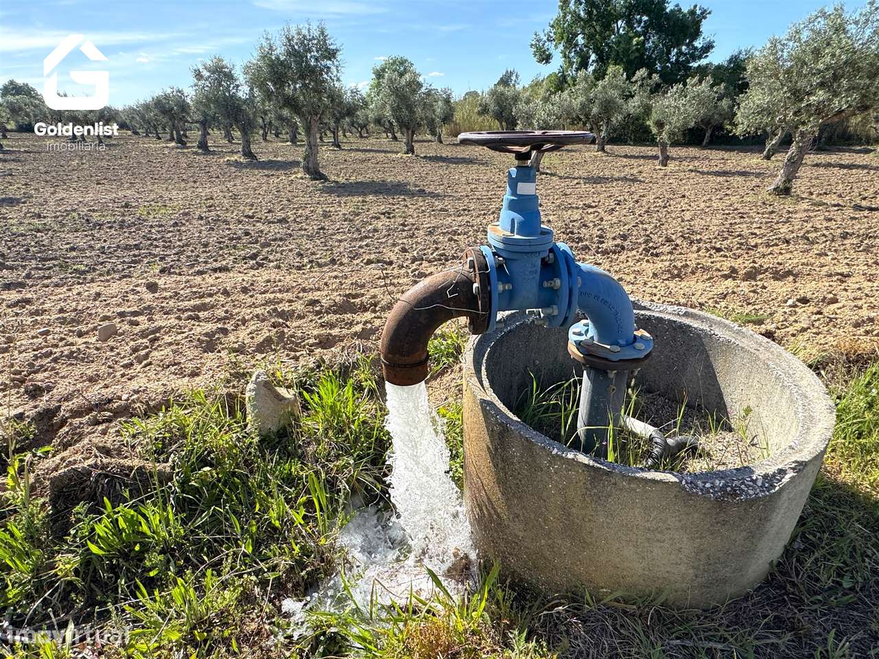 Quinta T2 Venda em Ladoeiro,Idanha-a-Nova-33