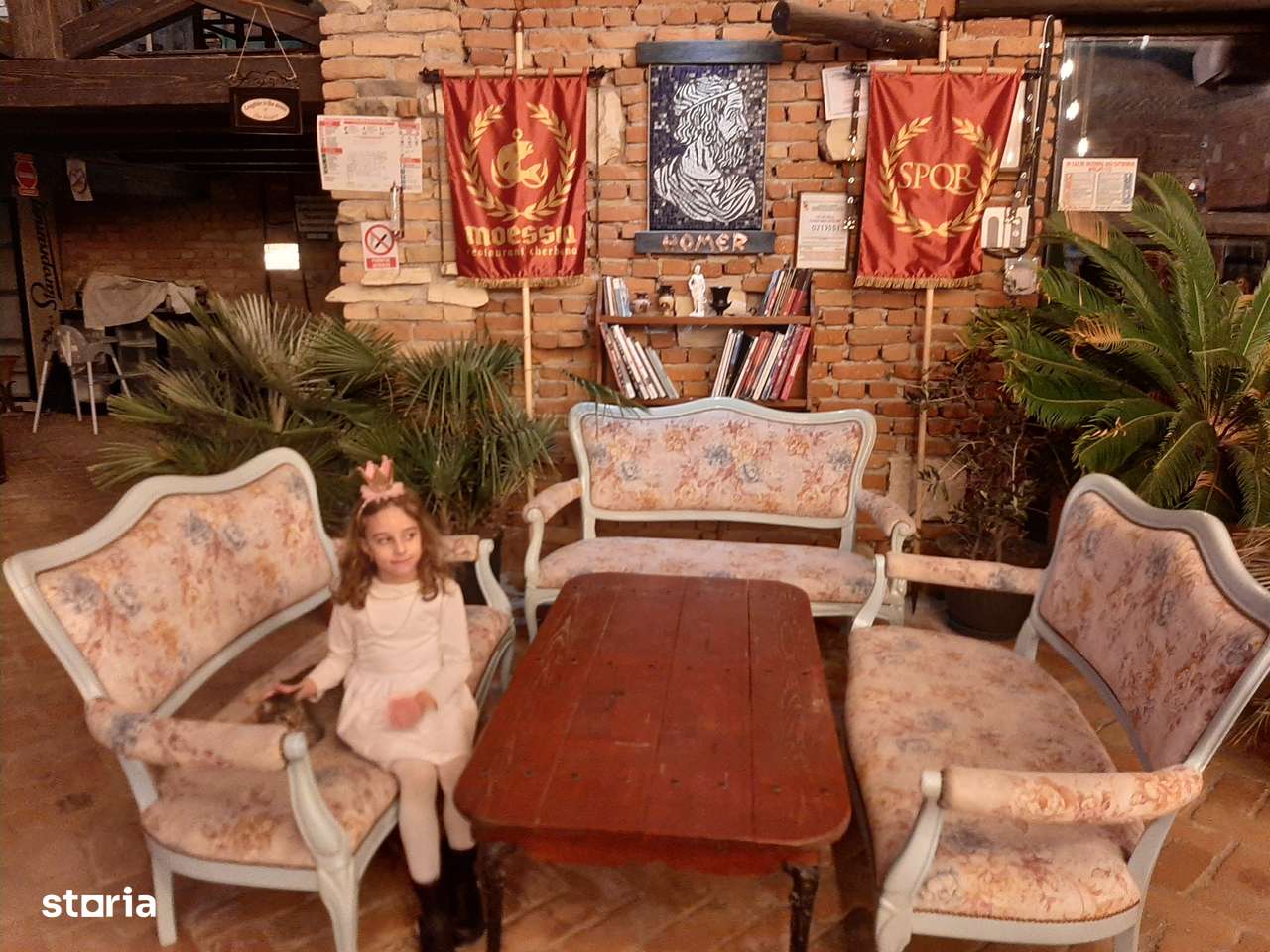 Spatiu comercial-Restaurant plaja salbatica Vadu-10