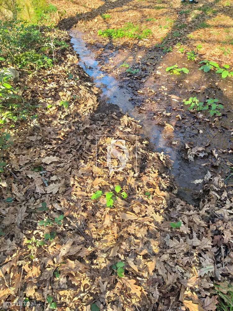Terreno  Venda em Louredo,Vieira do Minho-14