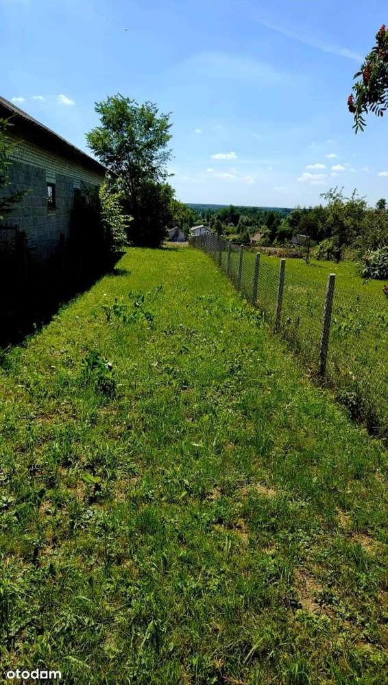 Piękna malownicza działka w Biejkowie nad rzeką Pilicą - Pełny obrazek: 5/6