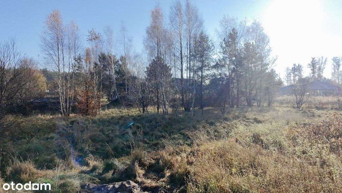 Sprzedam działkę w Miszewku- blisko lasu i jeziora-5