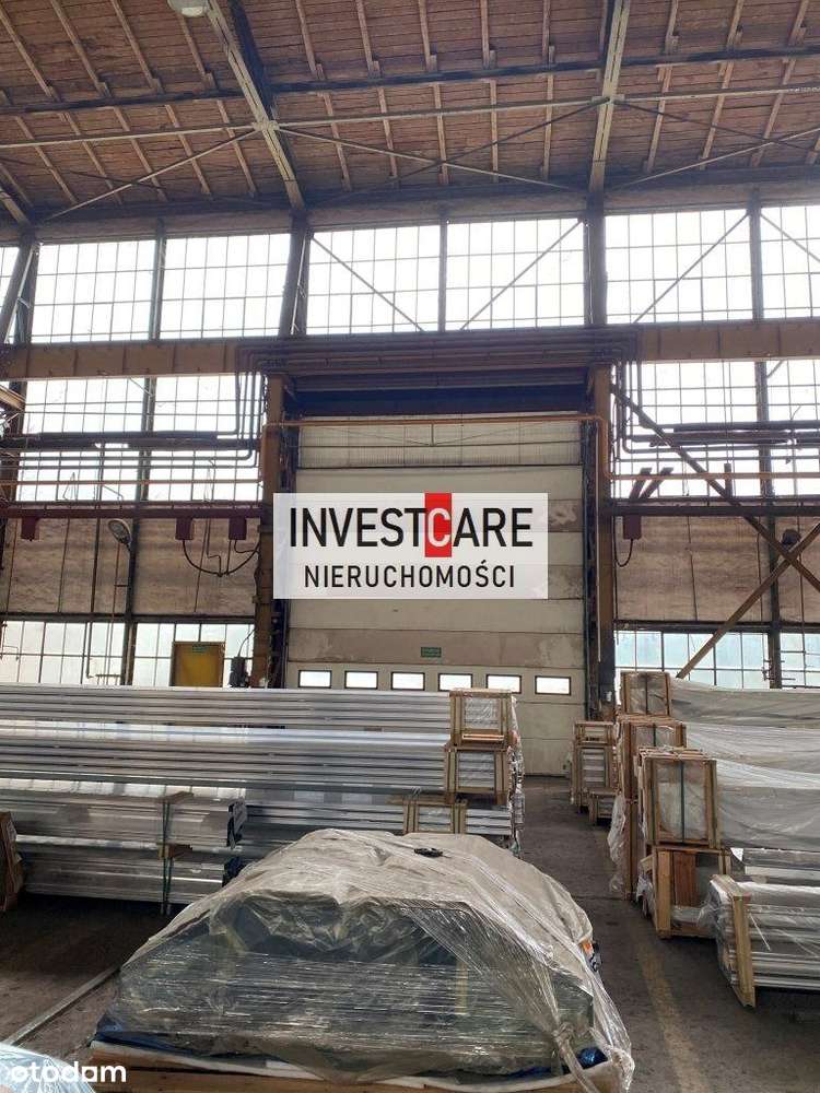 Hala/Magazyn, 4 900 m², Wyry-4