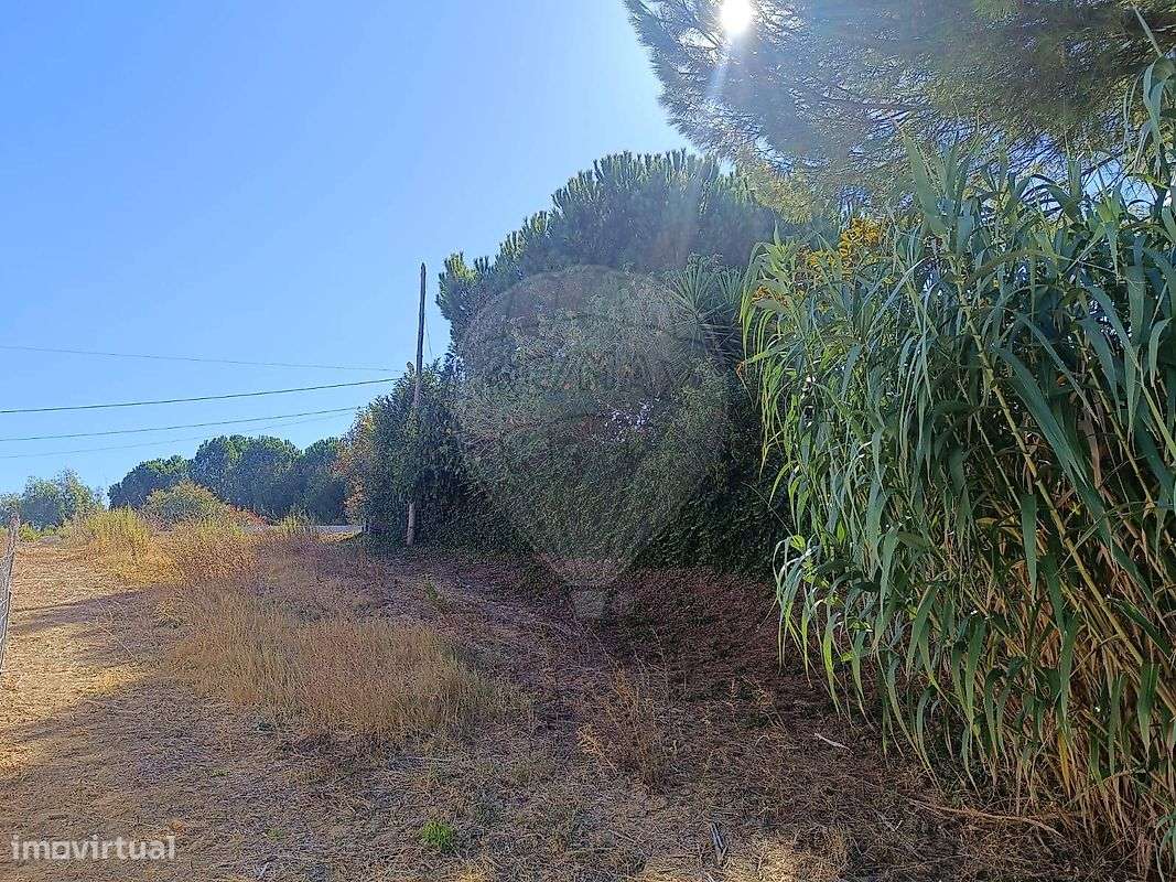 Terreno  para venda - Grande imagem: 4/11