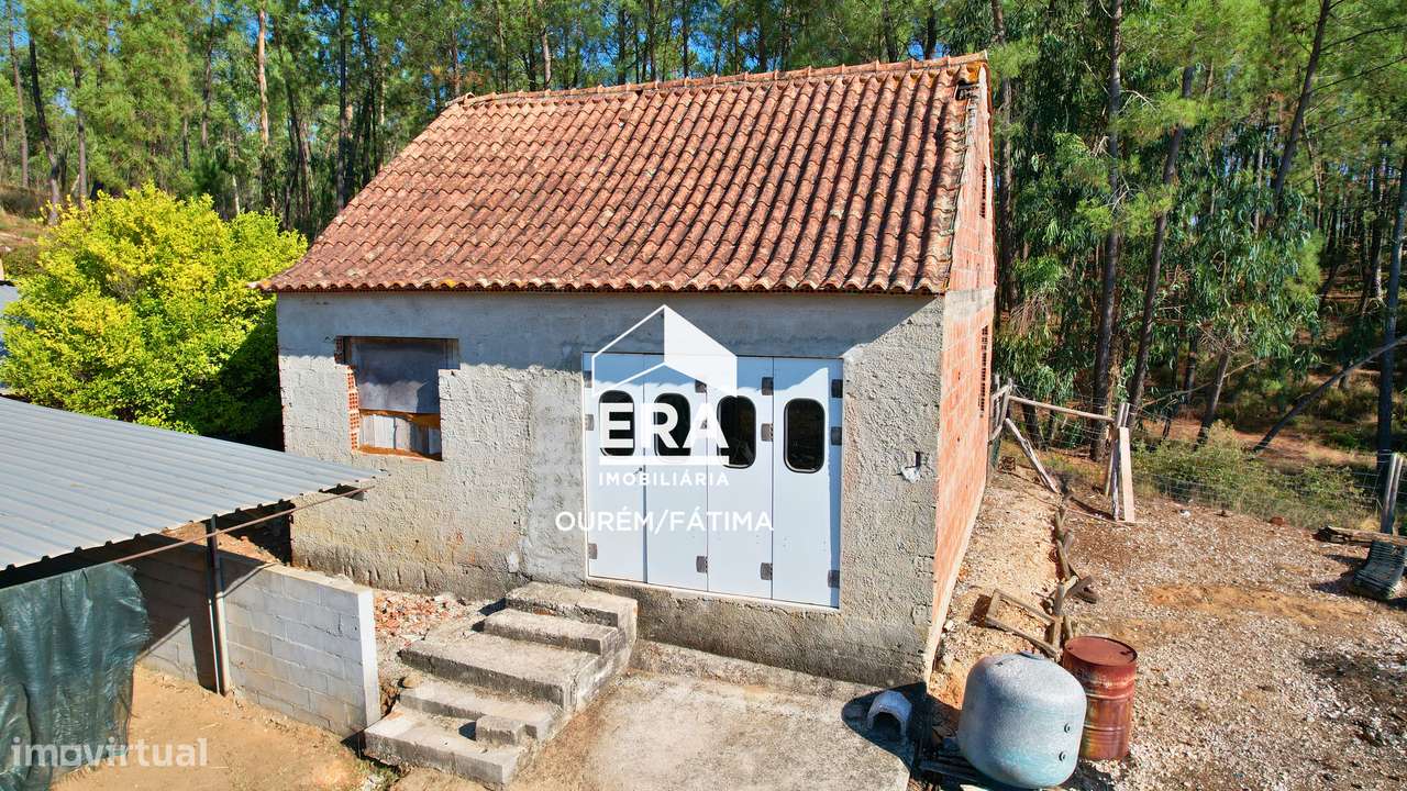 Moradia T3 implantada num terreno com 3.855m2 em Casal Domingos João-23