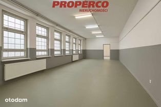 Hala pow. 365 m2, ul. Malików - Pełny obrazek: 3/13