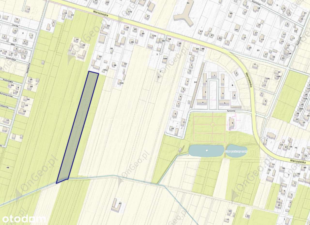 Działka rolna 1,42 ha Wola Rasztowska - Pełny obrazek: 4/4