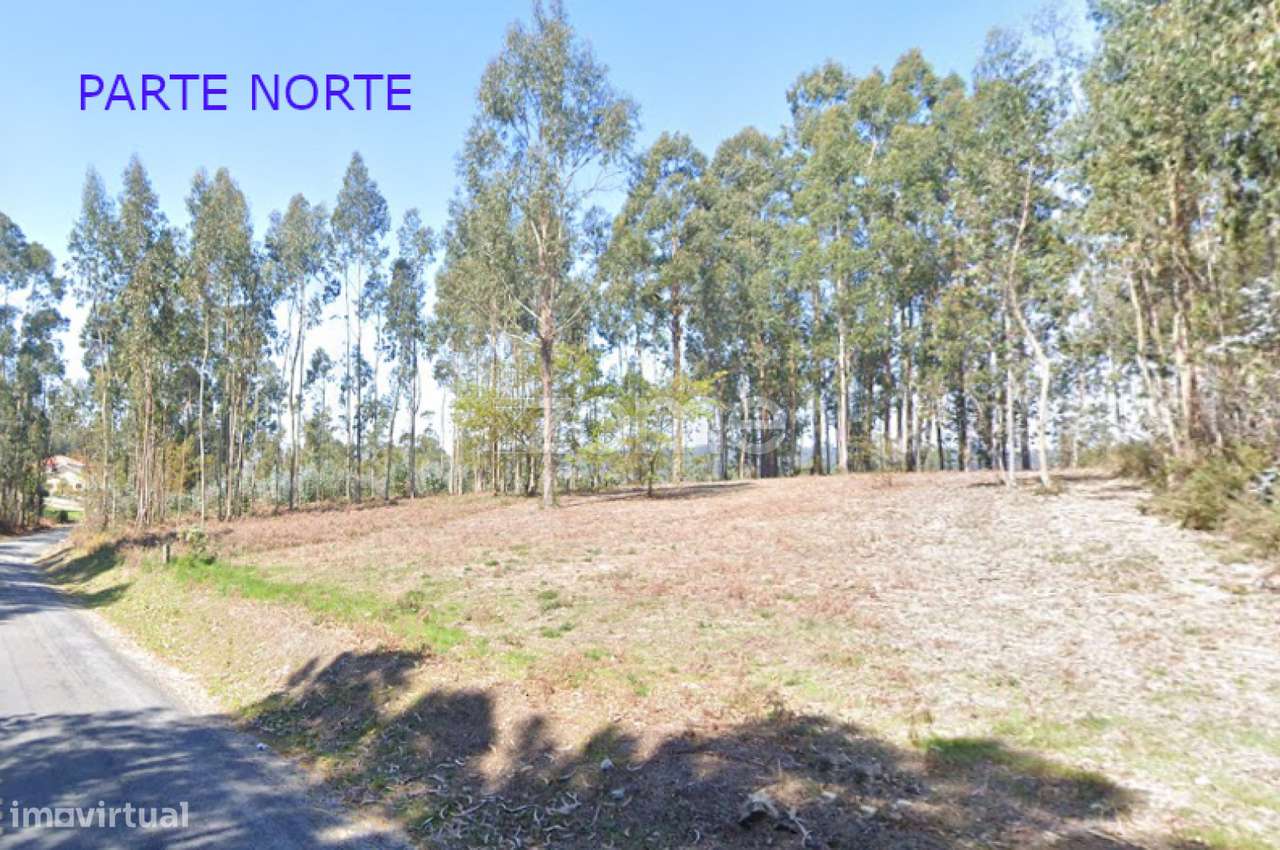 Terreno em Santa Luzia, Monte Córdova - Grande imagem: 5/10