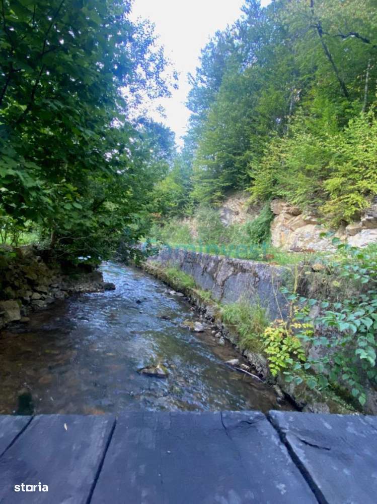 Teren de 2000 mp intravilan, Valea Finisului, Bihor, @Gaminvest, V4232-1