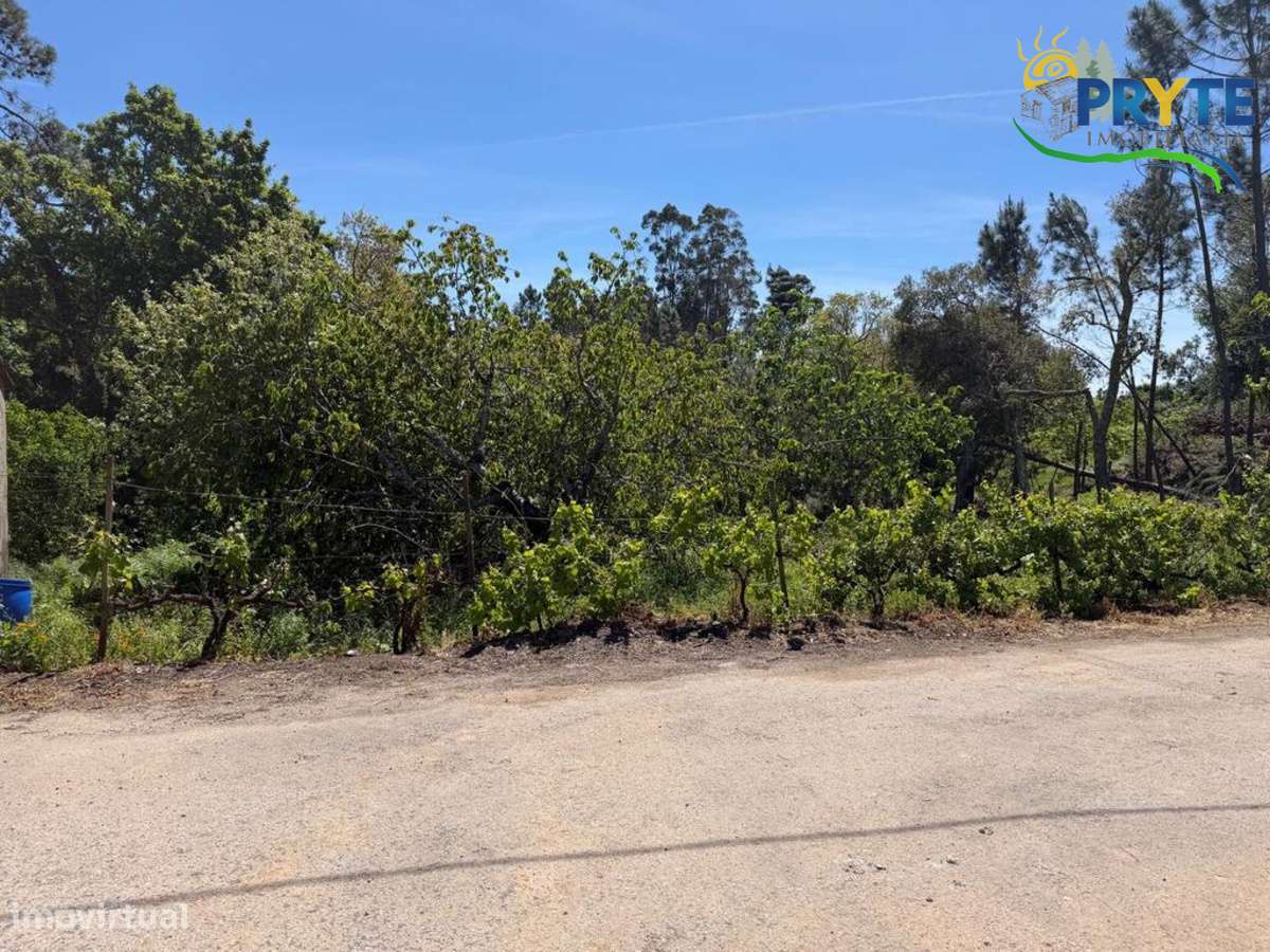 Terreno parcialmente dentro do perímetro urbano da aldeia - Grande imagem: 4/12