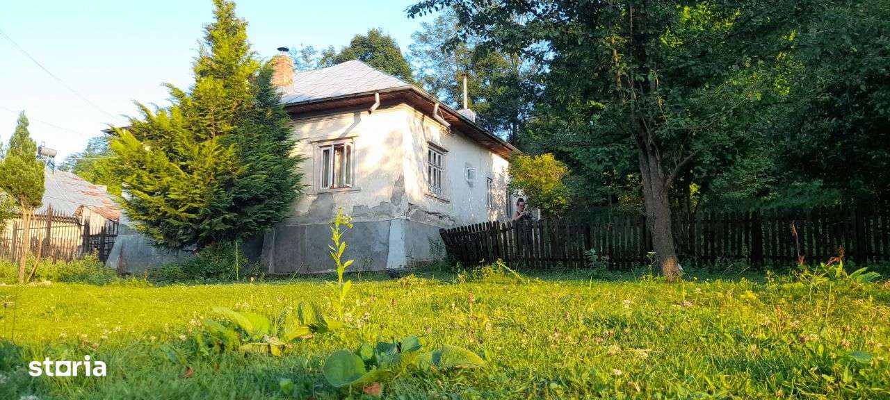 Puciosa Moreni Valea Lunga Sat Izvoru 20000mp teren de vanzare-8