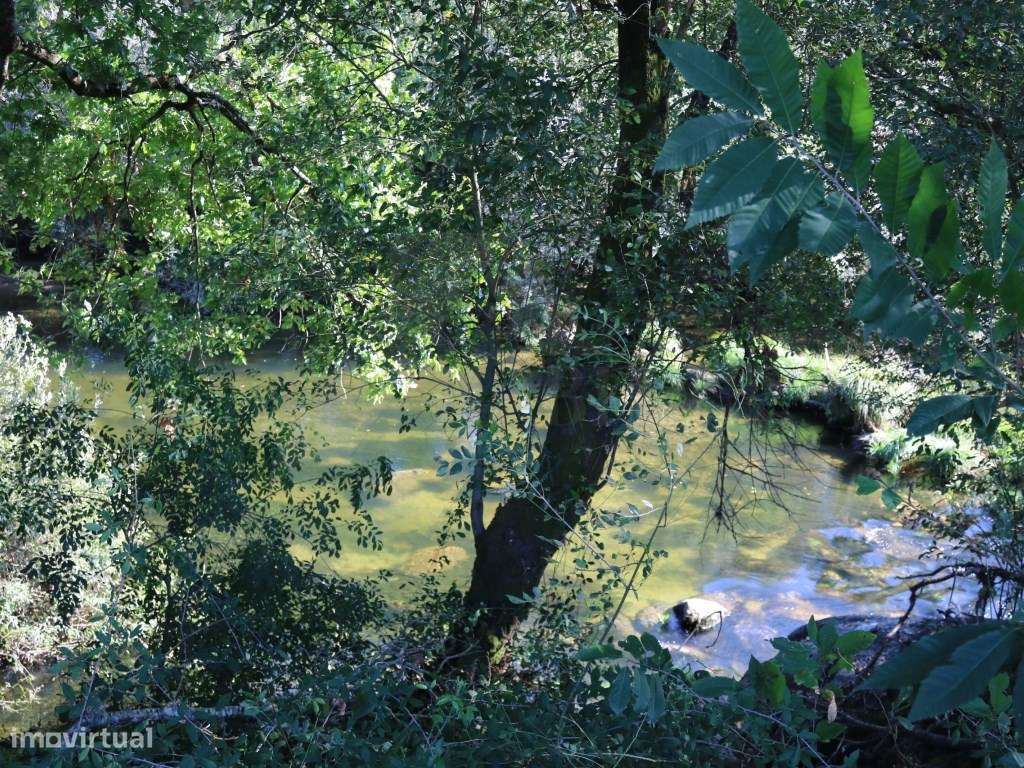 Terreno agrícola em Refóios, Ponte de Lima - Grande imagem: 5/9