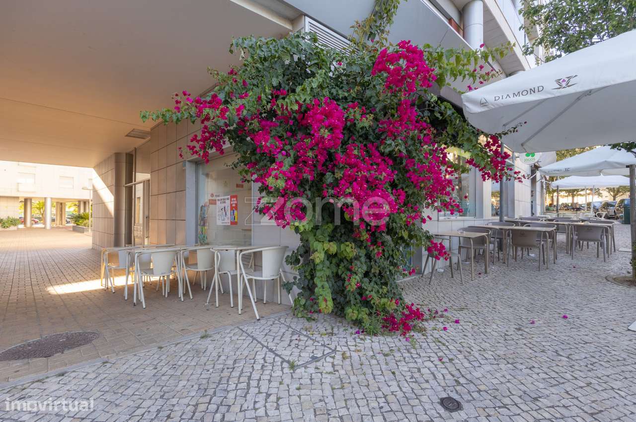 TRESPASSE Papelaria | Cafetaria | Jogos Santa Casa - Restelo - Grande imagem: 3/22