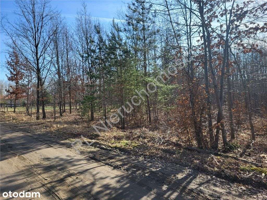 Najnowsza oferta w Cegłowie-3