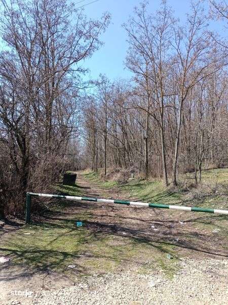 Teren VALEA MARE - Dambovita - Imagine principală: 4/4