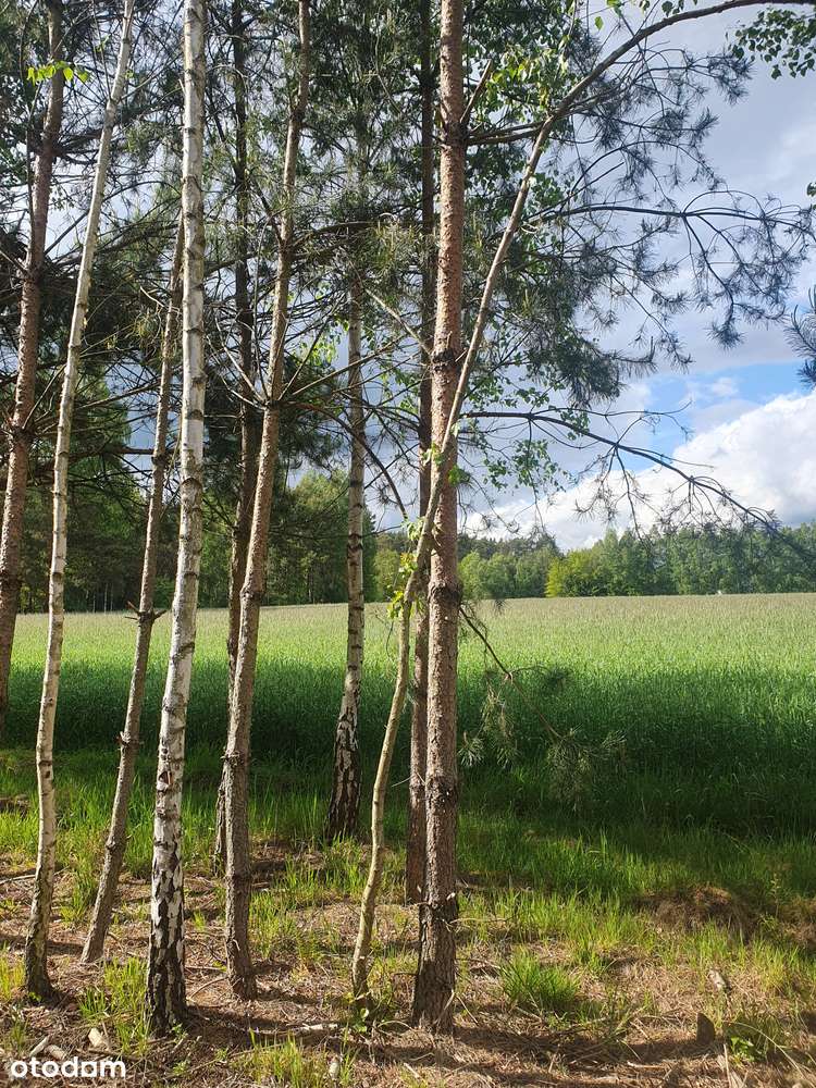 Budowlane przy lesie i rzece Grabia. Twoja sprawdzona inwestycja RATY-3