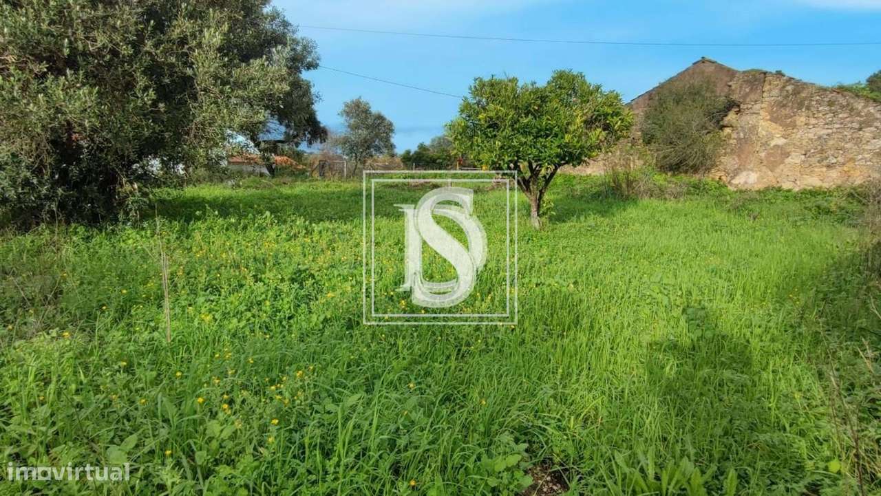 Ruína em Outeiro Grande - Grande imagem: 4/17