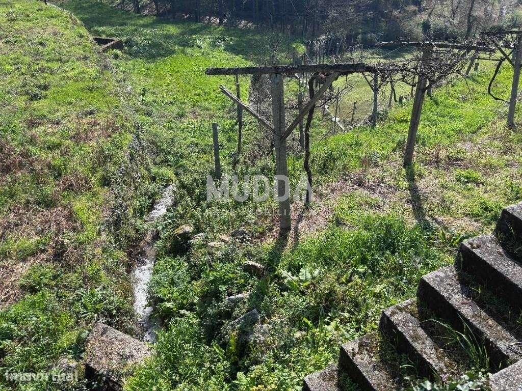 Exclusivo - Terreno urbanizável-20