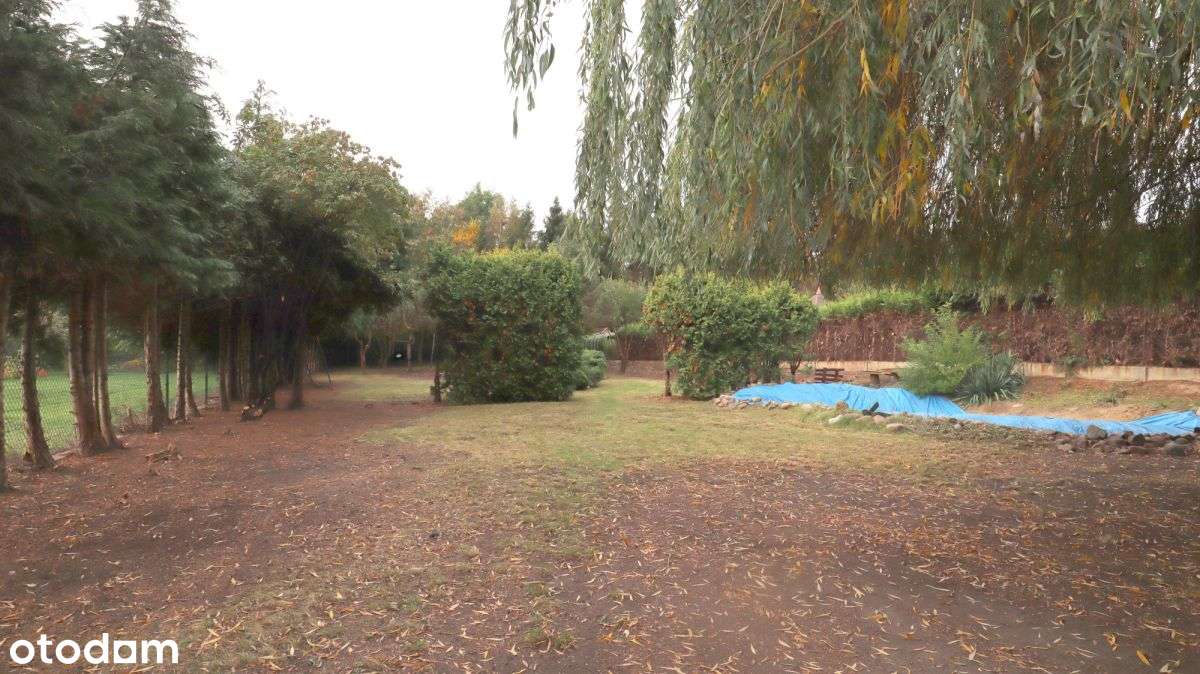 Wolnostojący dom z dużą działką-7