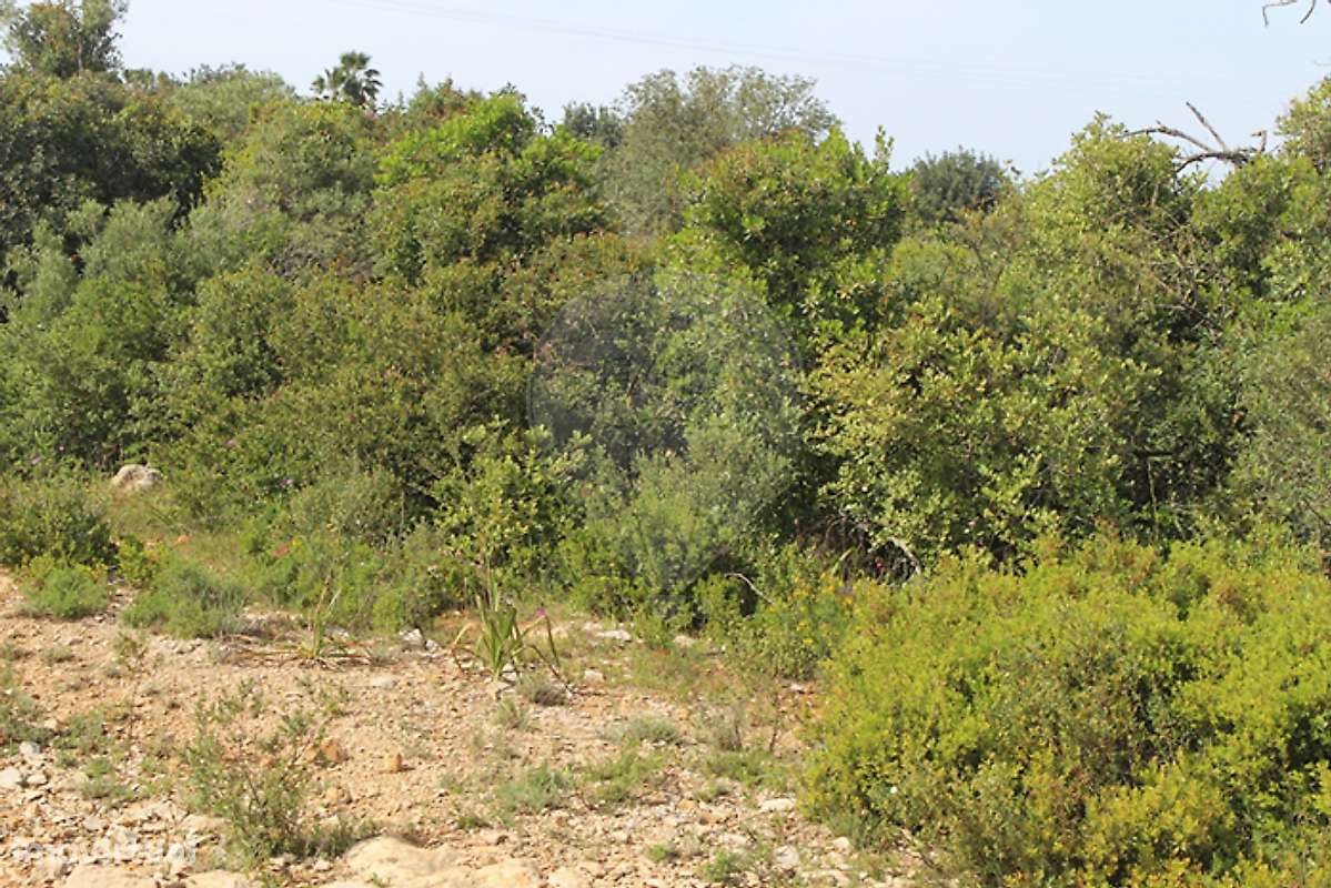 Terreno  para venda-5