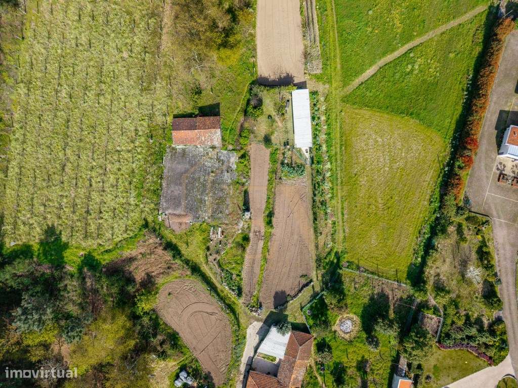 Quinta com Potencial de Expansão | Lordelo - Guimarães-43