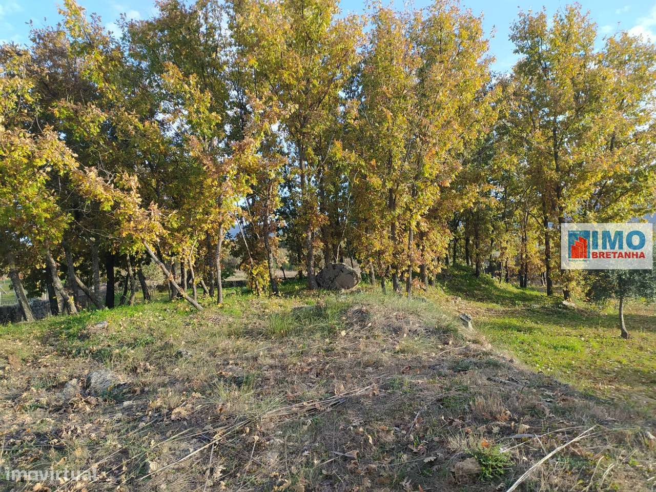 Quinta - Junto ao Fundão - Grande imagem: 5/18