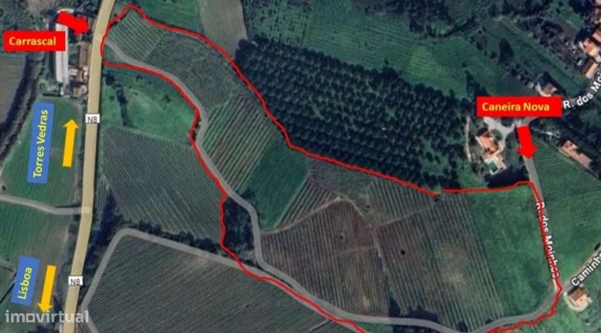 Terreno Rústico com Excelente Localização | Azueira – Mafra - Grande imagem: 2/8