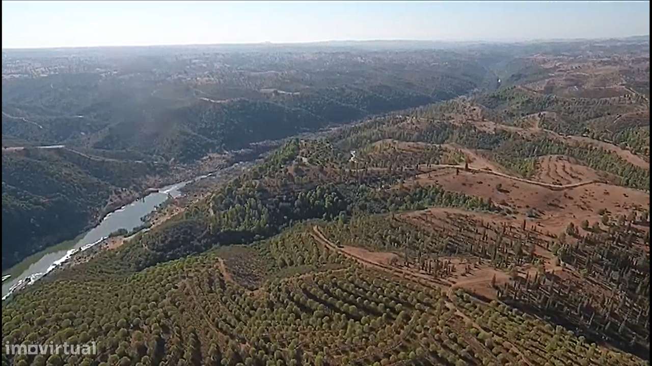 Herdade com área total de 135 hectares a confinar 3km com o Rio Guadia - Grande imagem: 3/8