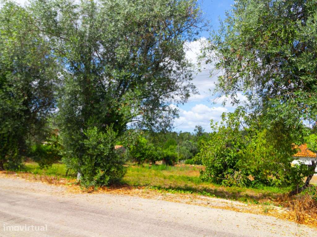 Terreno para construção - Grande imagem: 3/6