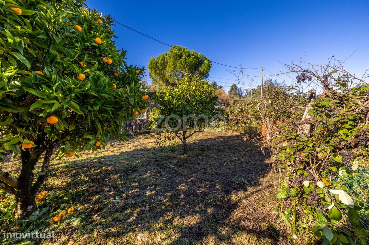 Moradia T1 para recuperar | Albergaria dos Doze-10