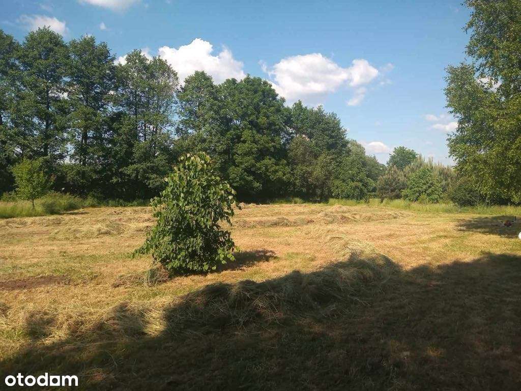 Duża działka deweloperska z analizą chłonności + koncepcją arch. - Pełny obrazek: 4/8