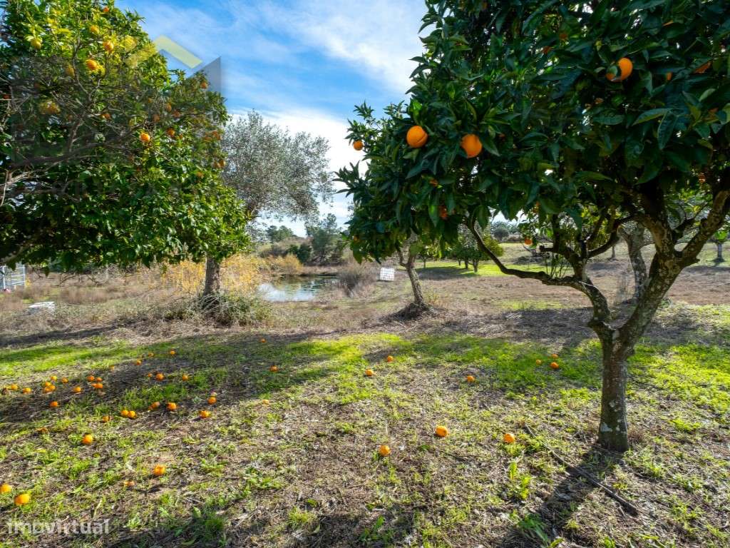 Quinta das Fontainhas - Propriedade Única em Lardosa-36