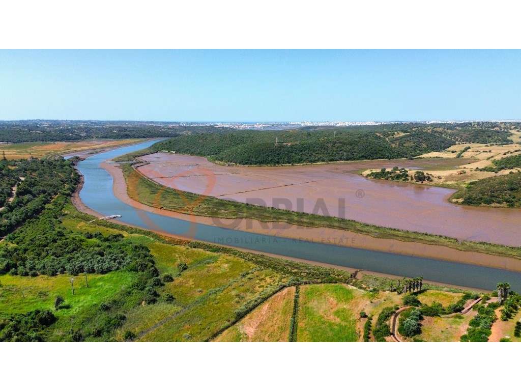 Fantástica Moradia para venda com 4 quartos, piscina e jardim, em S... - Grande imagem: 4/46