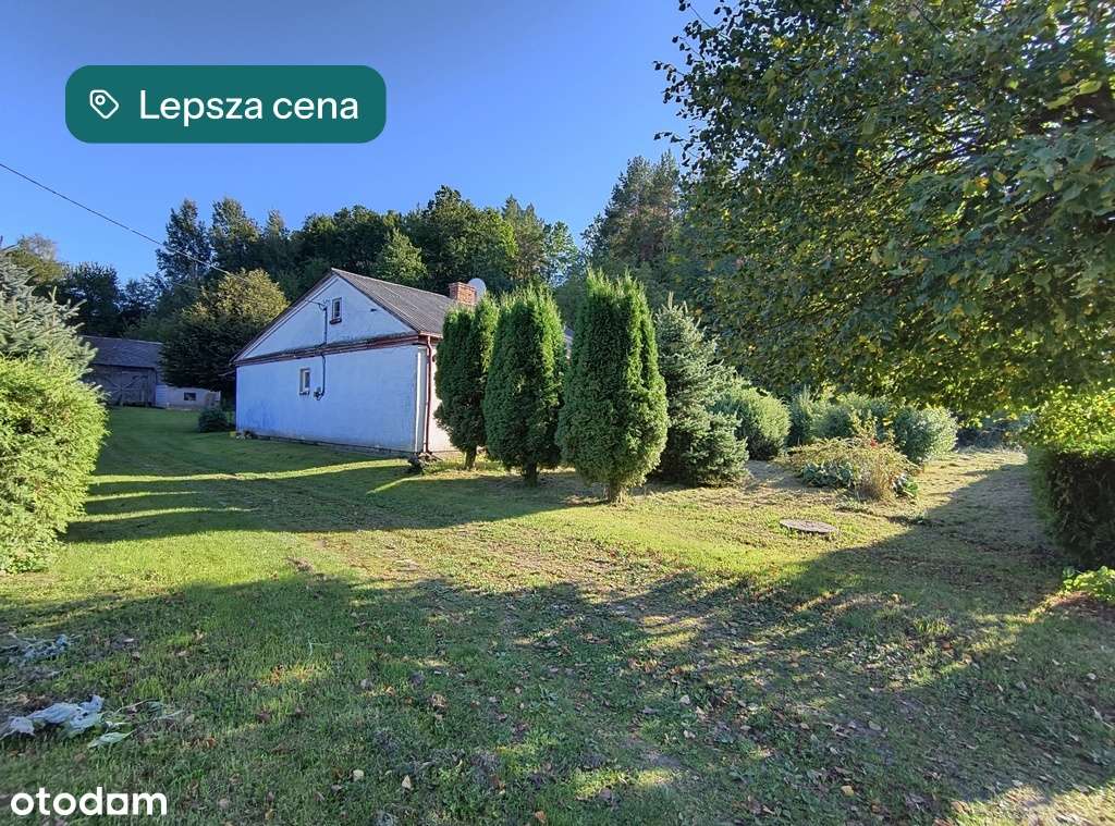 Dom bez sąsiadów w Skomorochach Dużych - Ansicht 3
