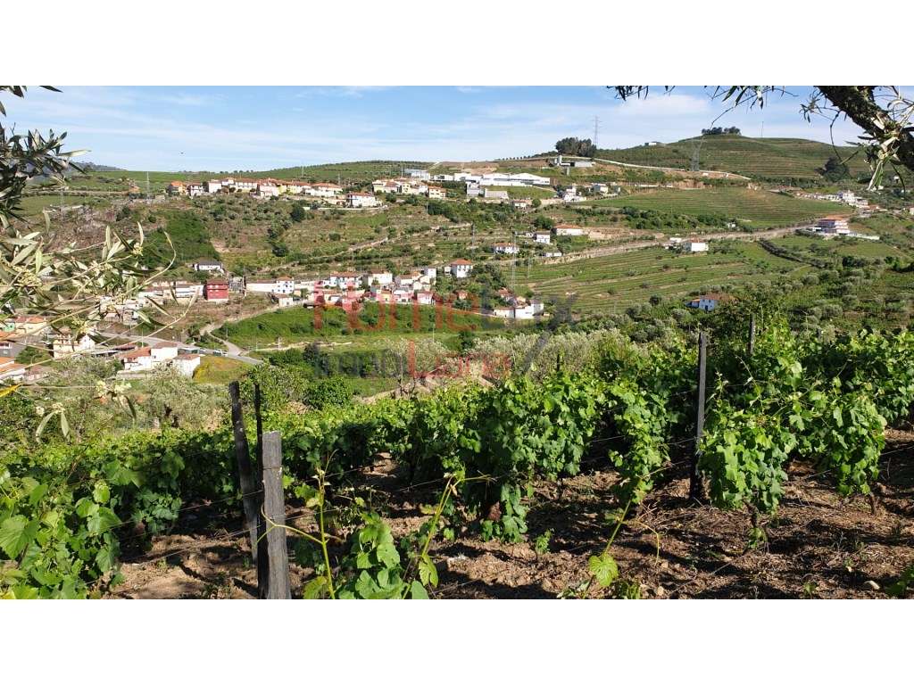 Quintinha para reconstrução - Grande imagem: 2/16