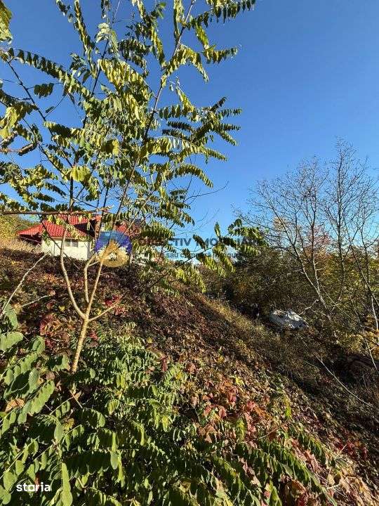 Teren intravilan 1543 mp – zona Darmanesti-7