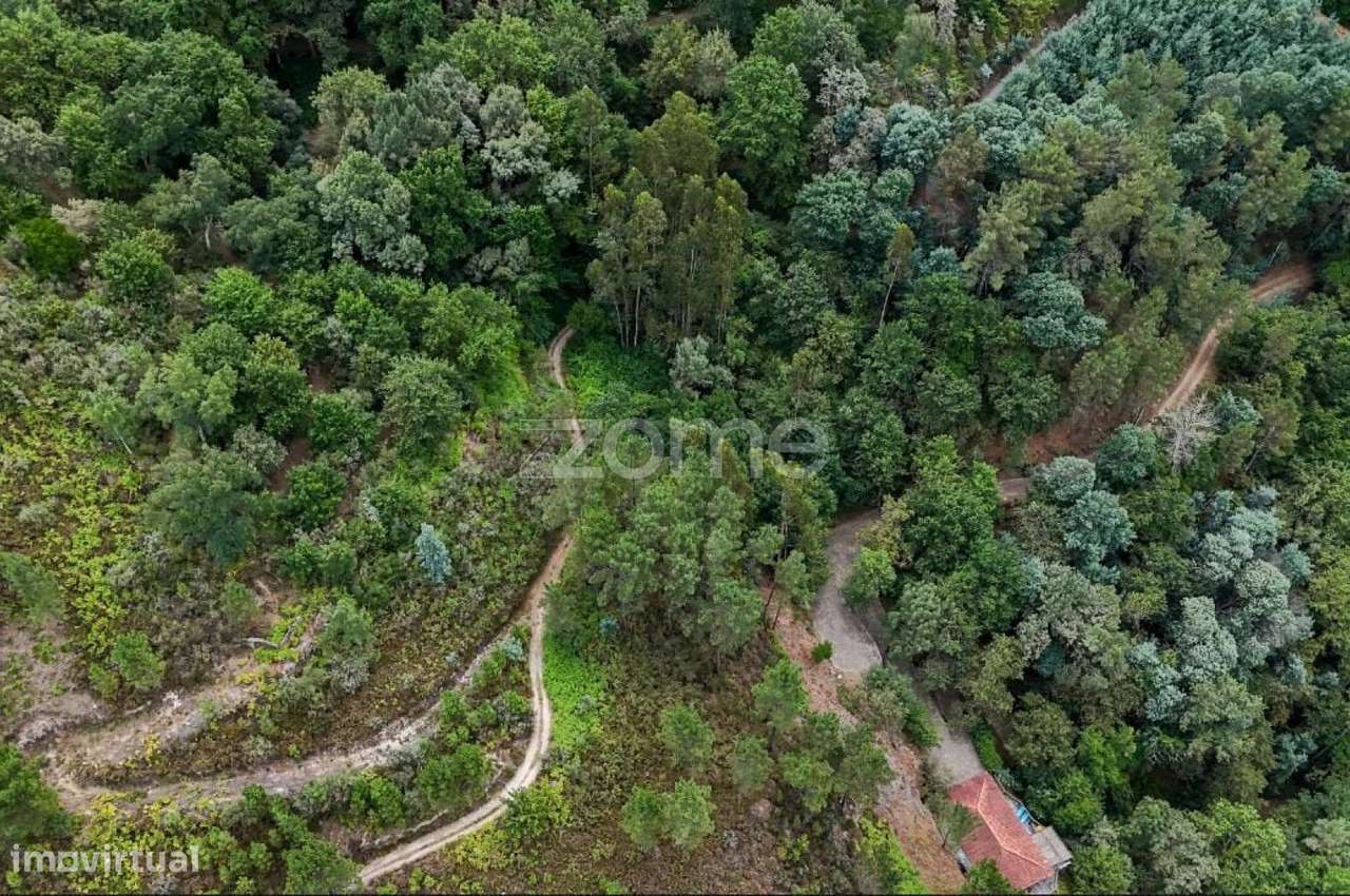 Terreno à Venda - Gerês - Grande imagem: 4/4