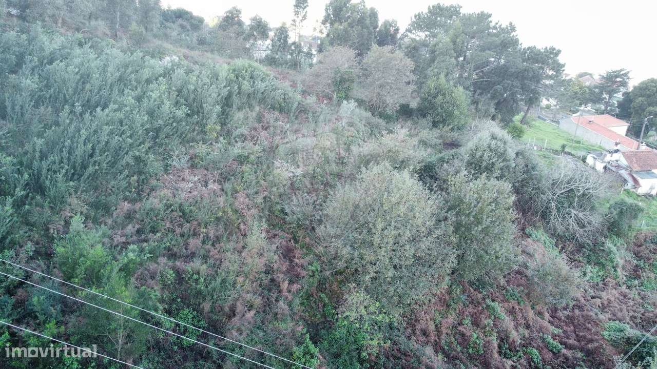 Terreno  para venda - Grande imagem: 5/10