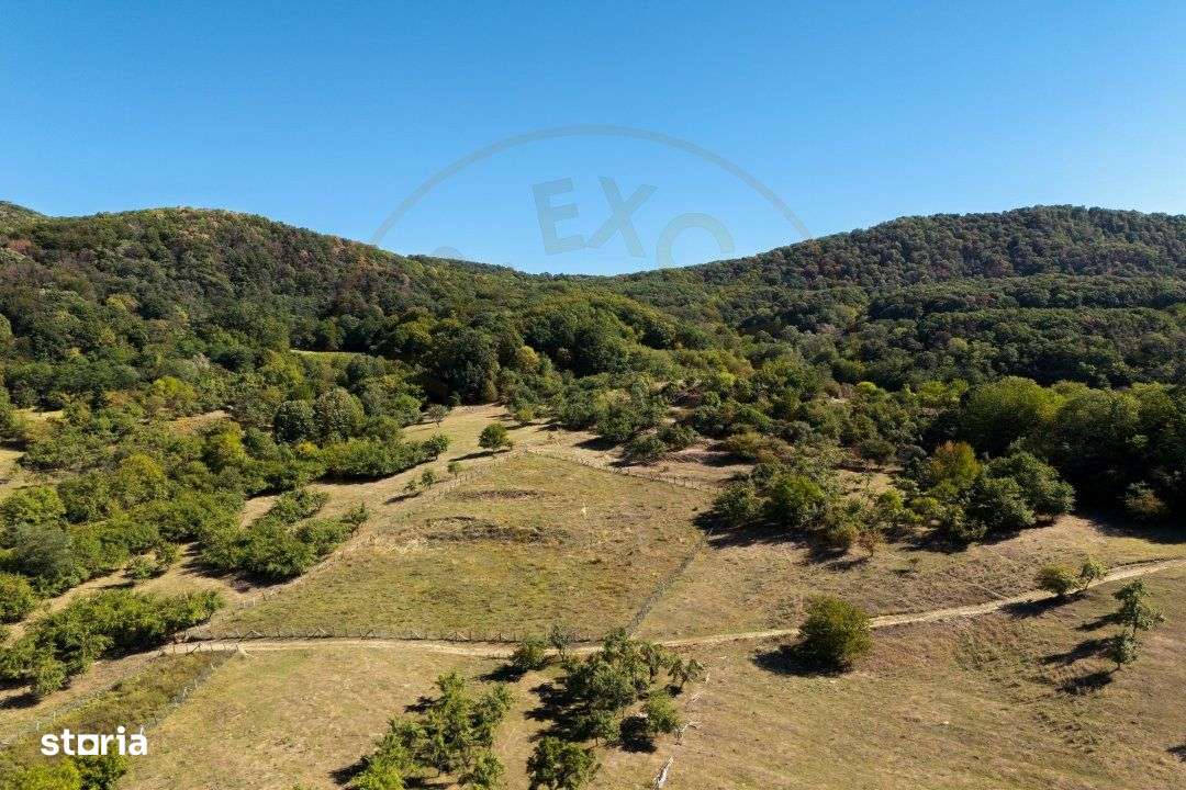 Terenuri 12.225 mp - Ramnicu Valcea, Aranghel - Imagine principală: 4/14