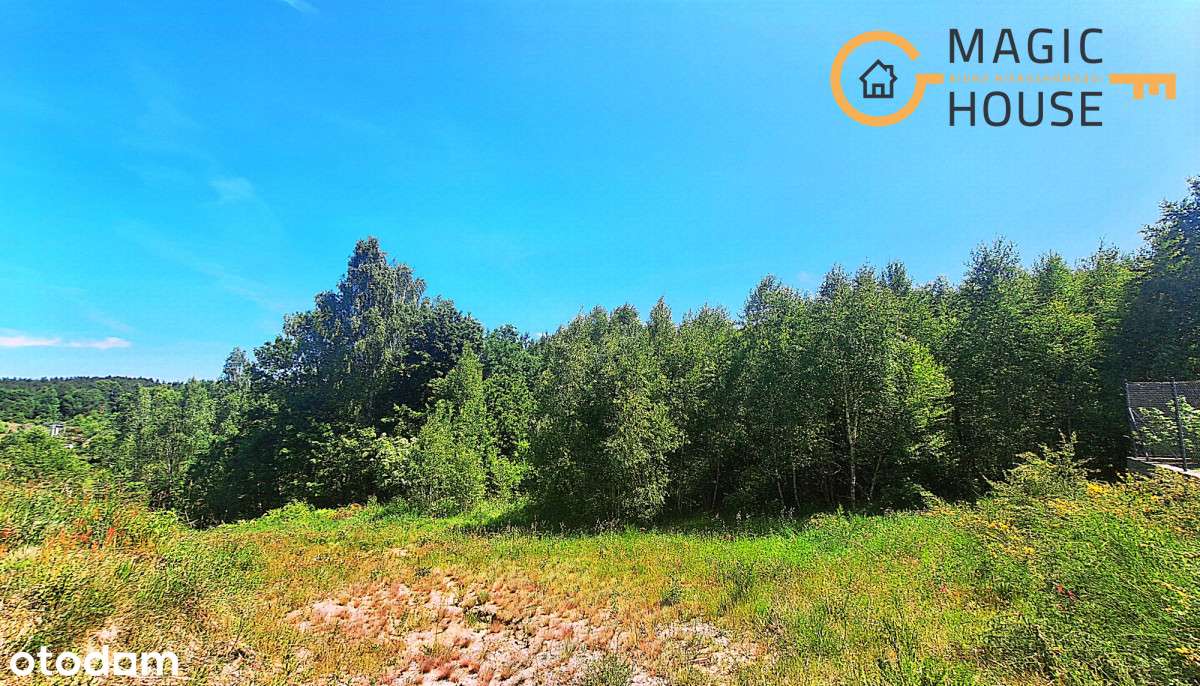 Działka rolna 3002 m2 w Koleczkowie - Pełny obrazek: 5/14